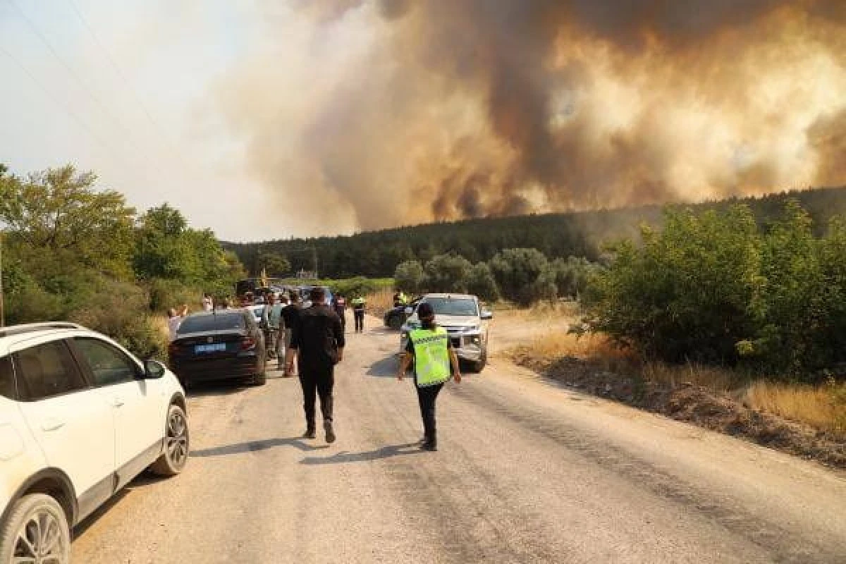 Manisa'da meydana gelen orman yangını söndürüldü