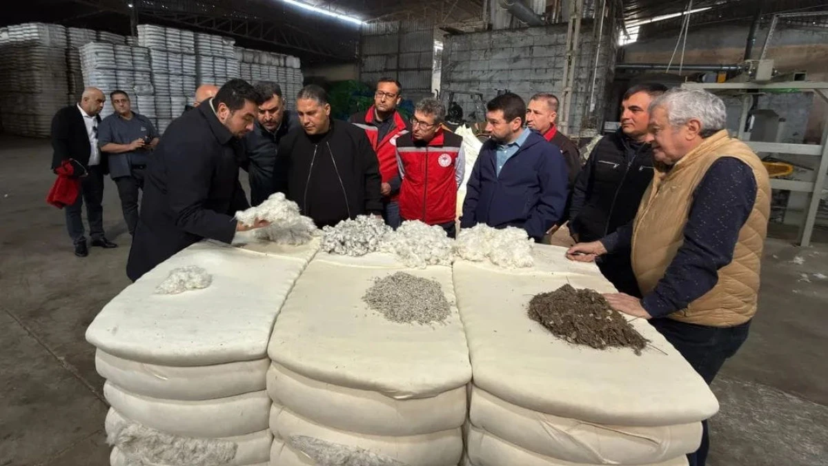 Manisa’da Pamuk Üretimi Yüz Güldürüyor