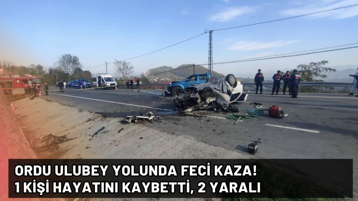 Ordu Ulubey Yolunda Feci Kaza! 1 Kişi Hayatını Kaybetti, 2 Yaralı