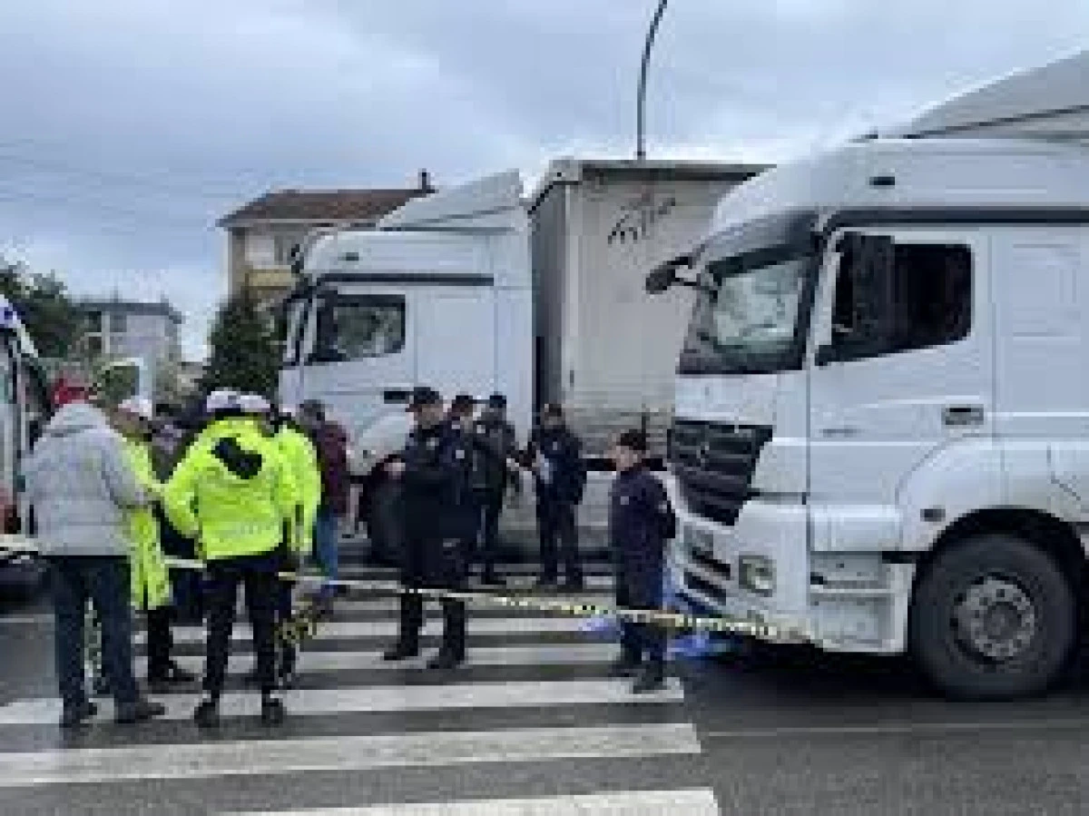 Ordu'da tırın çarptığı yaya hayatını kaybetti