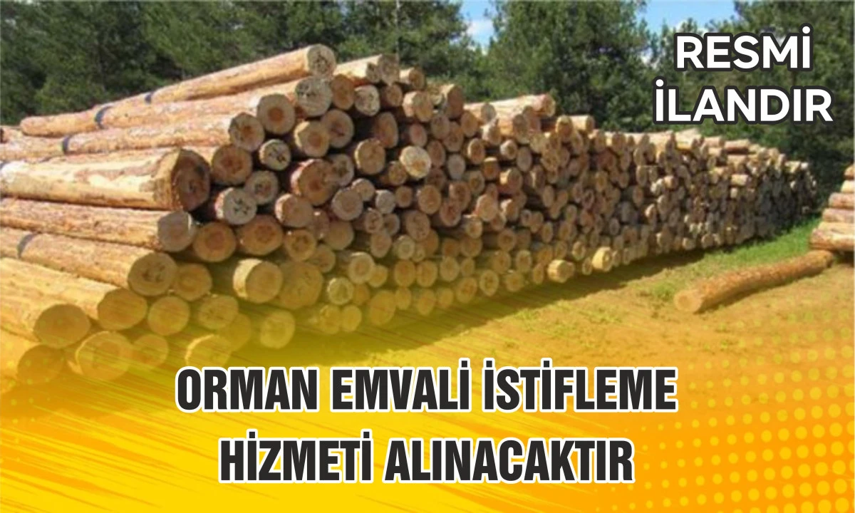 ORMAN EMVALİ İSTİFLEME HİZMETİ ALINACAKTIR