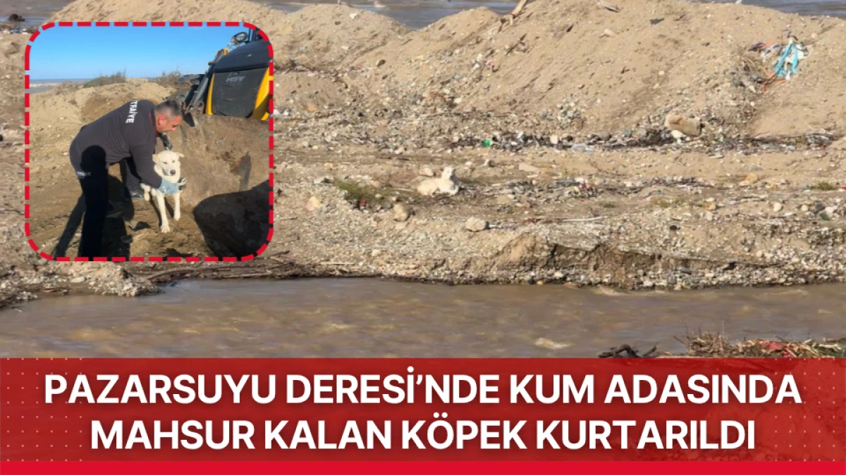 Pazarsuyu Deresi’nde kum adasında mahsur kalan köpek kurtarıldı