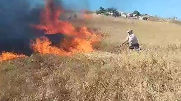Tokat'ta çıkan yangında buğday ekili tarla yandı