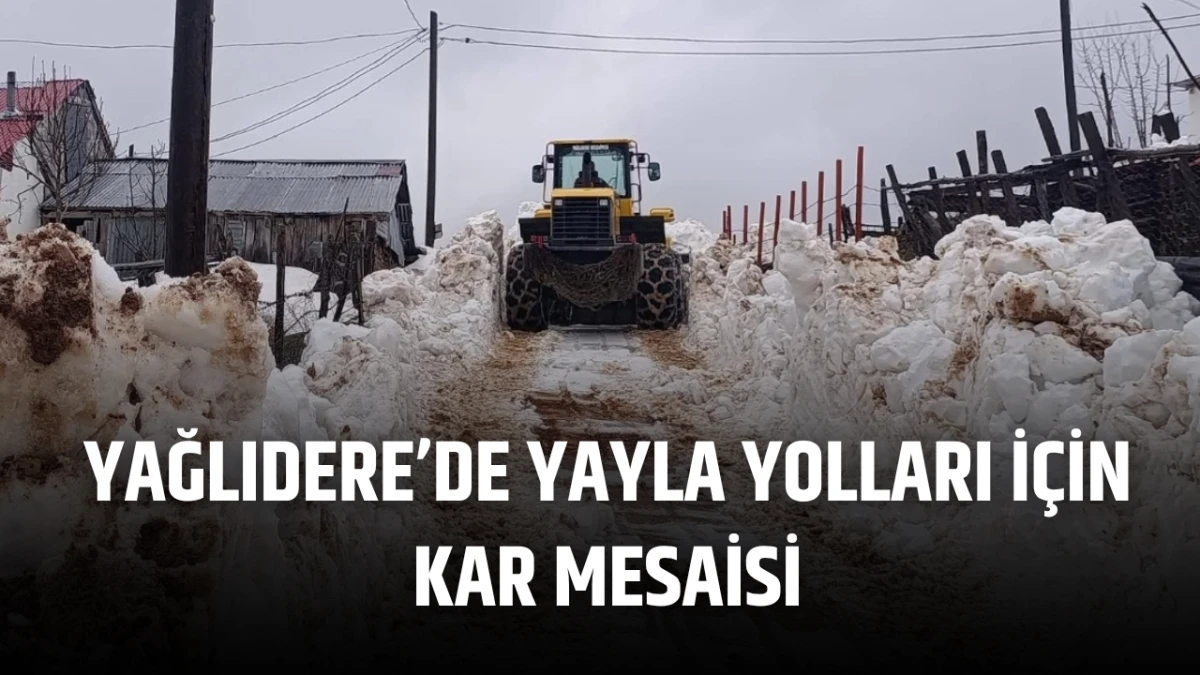 Yağlıdere&rsquo;de Yayla Yolları İ&ccedil;in Kar Mesaisi