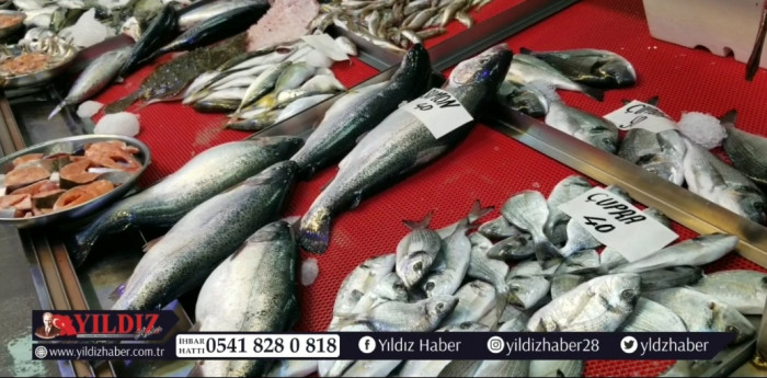 Bulancak'ta balık tezgahları şenlendi!